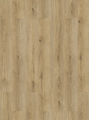 LVT19220002