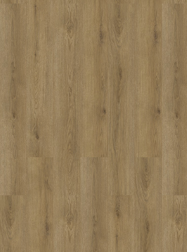 LVT19220001