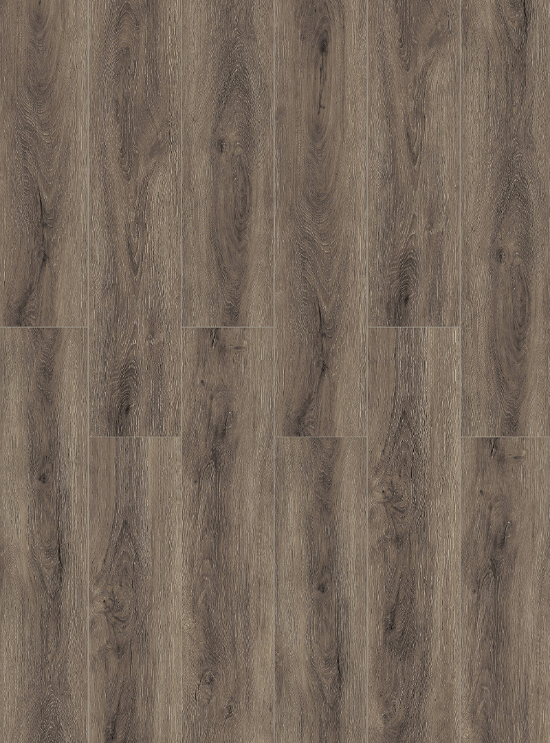 LVT19350001