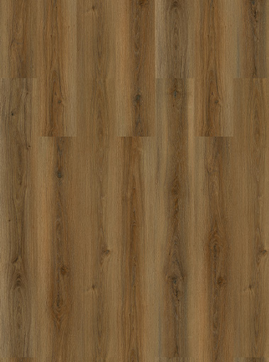 LVT19330005