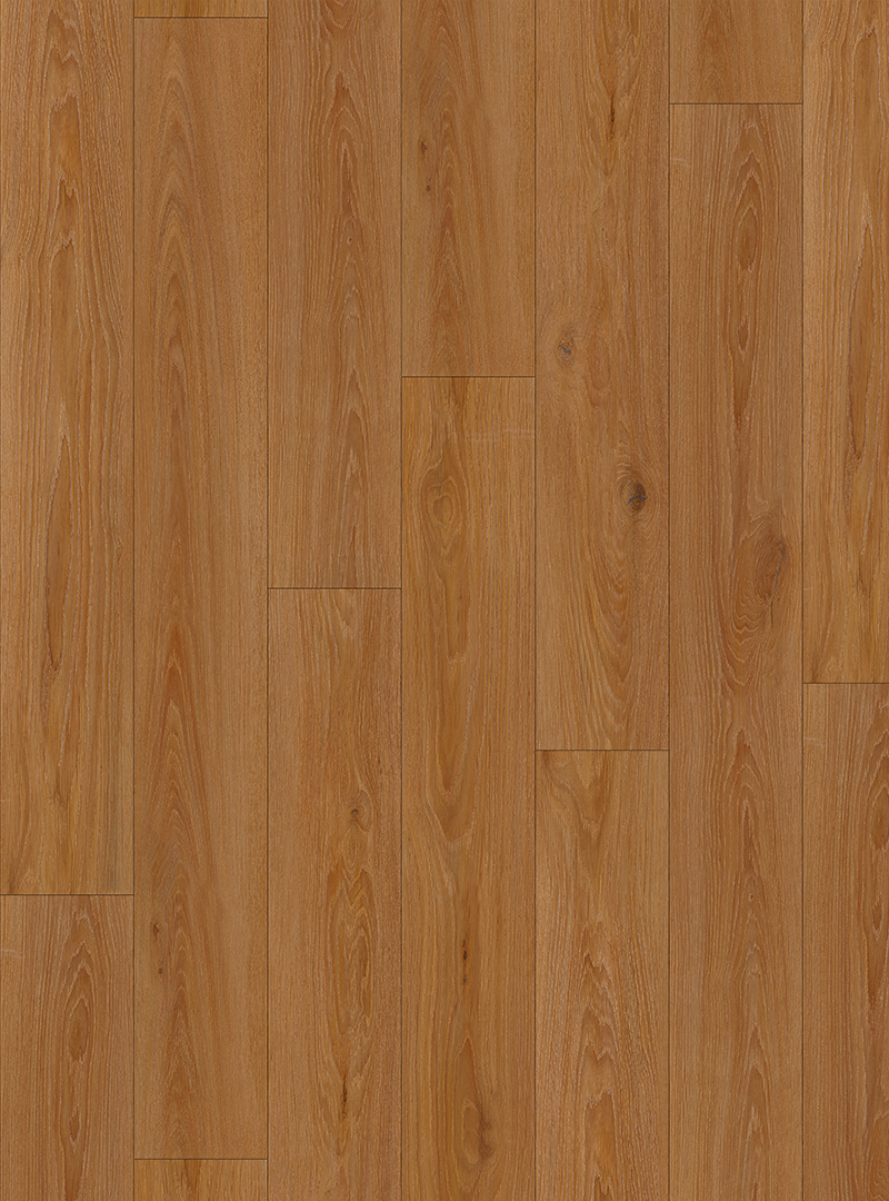 LVT19350002