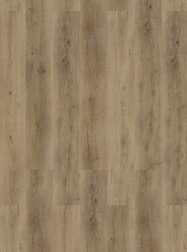 LVT19330001