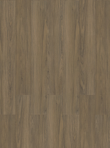 LVT19220006